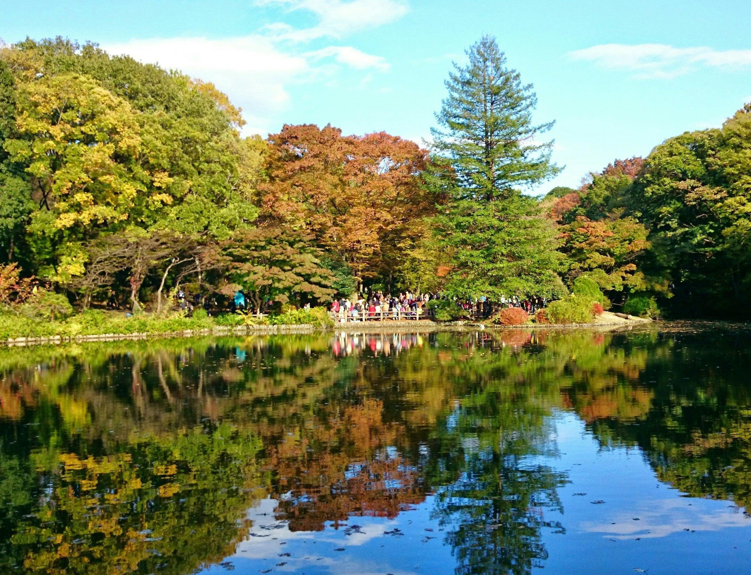 🏞️ 오타카노미치·마스가타노이케 용수군 이미지 6